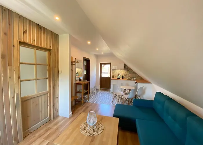 Apartament Skystudio *